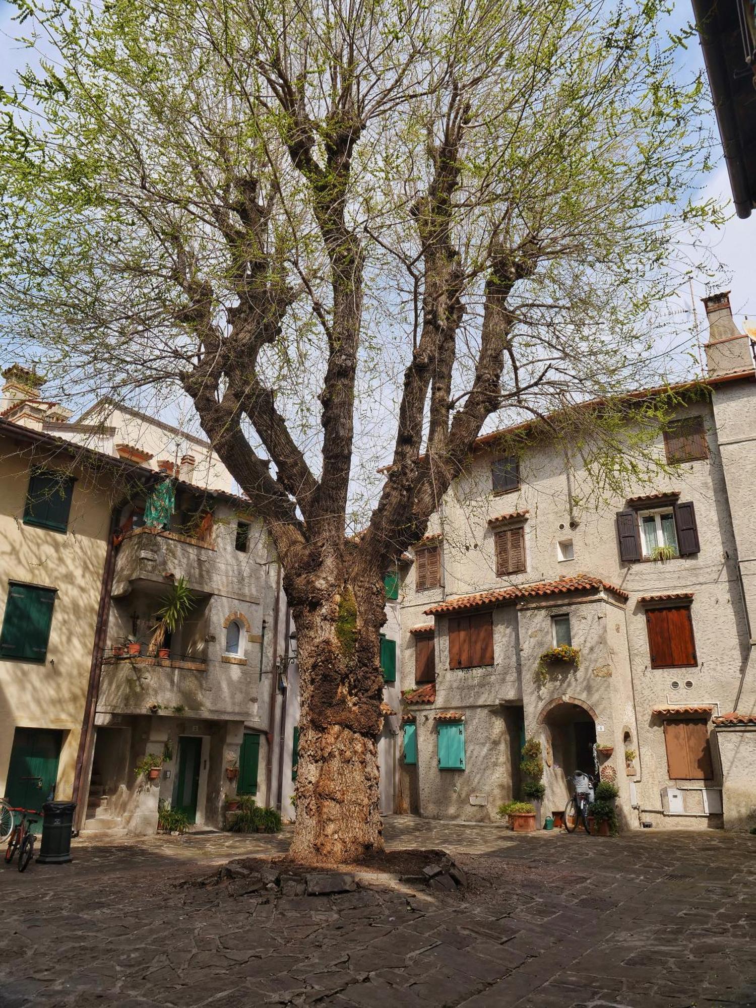 Casa Vianella - Romantico Monolocale Per Vivere Come Una Volta غرادو المظهر الخارجي الصورة